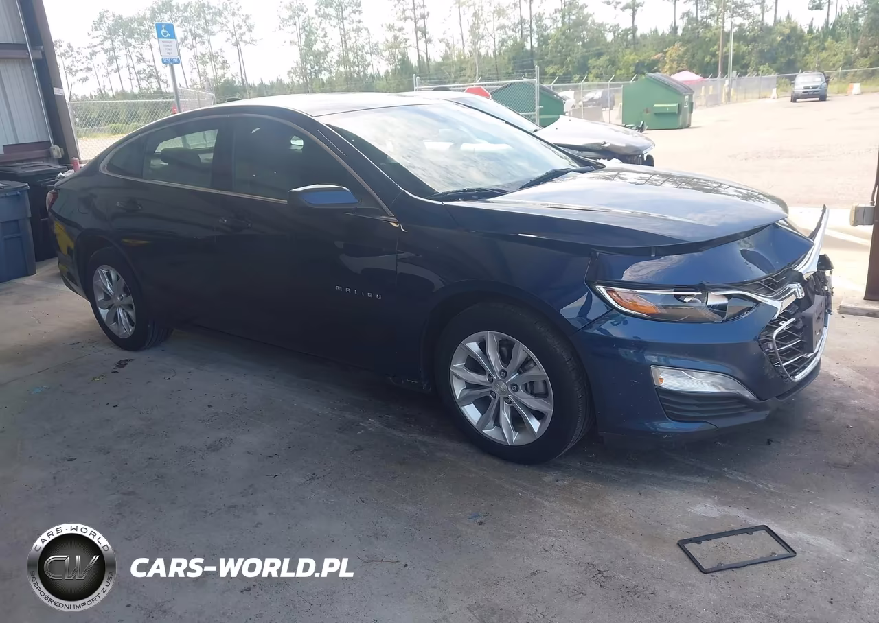 2019 Chevrolet Malibu Lt VIN:1G1ZD5ST9KF180586 - 1
