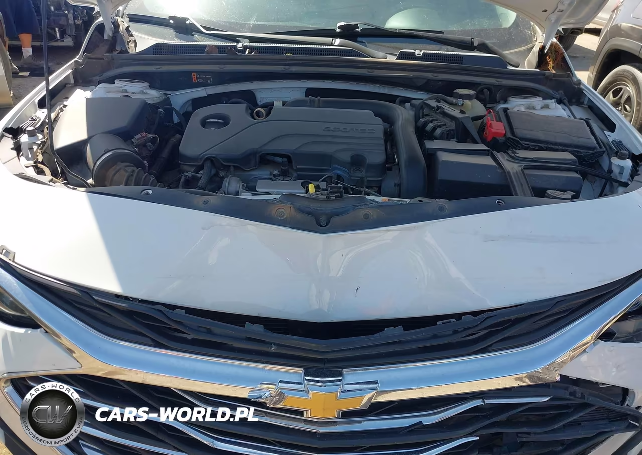 2019 Chevrolet Malibu Lt VIN:1G1ZD5ST1KF133553 - 10