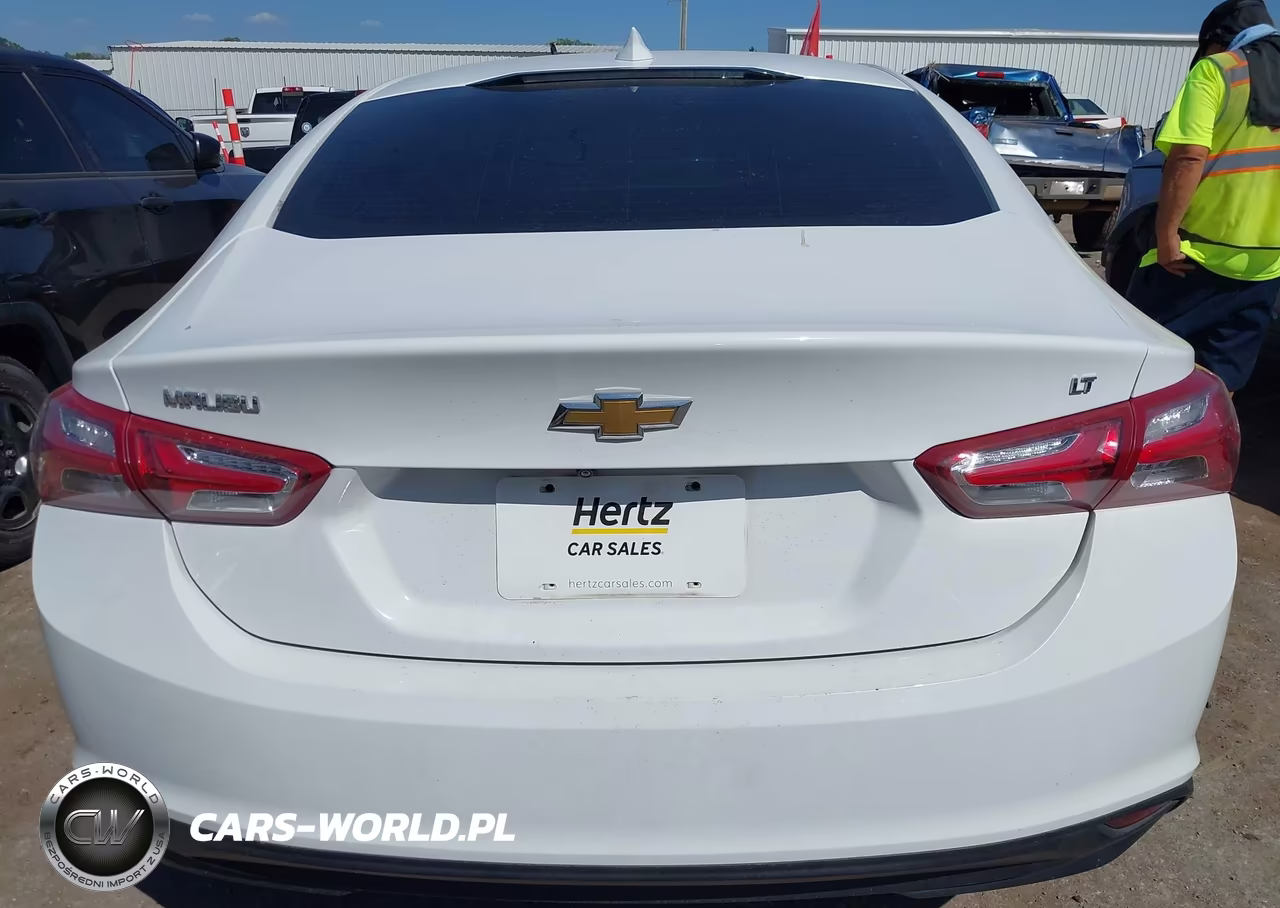 2019 Chevrolet Malibu Lt VIN:1G1ZD5ST1KF133553 - 17