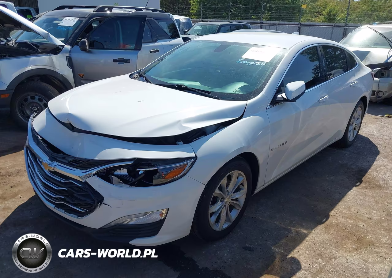 2019 Chevrolet Malibu Lt VIN:1G1ZD5ST1KF133553 - 2