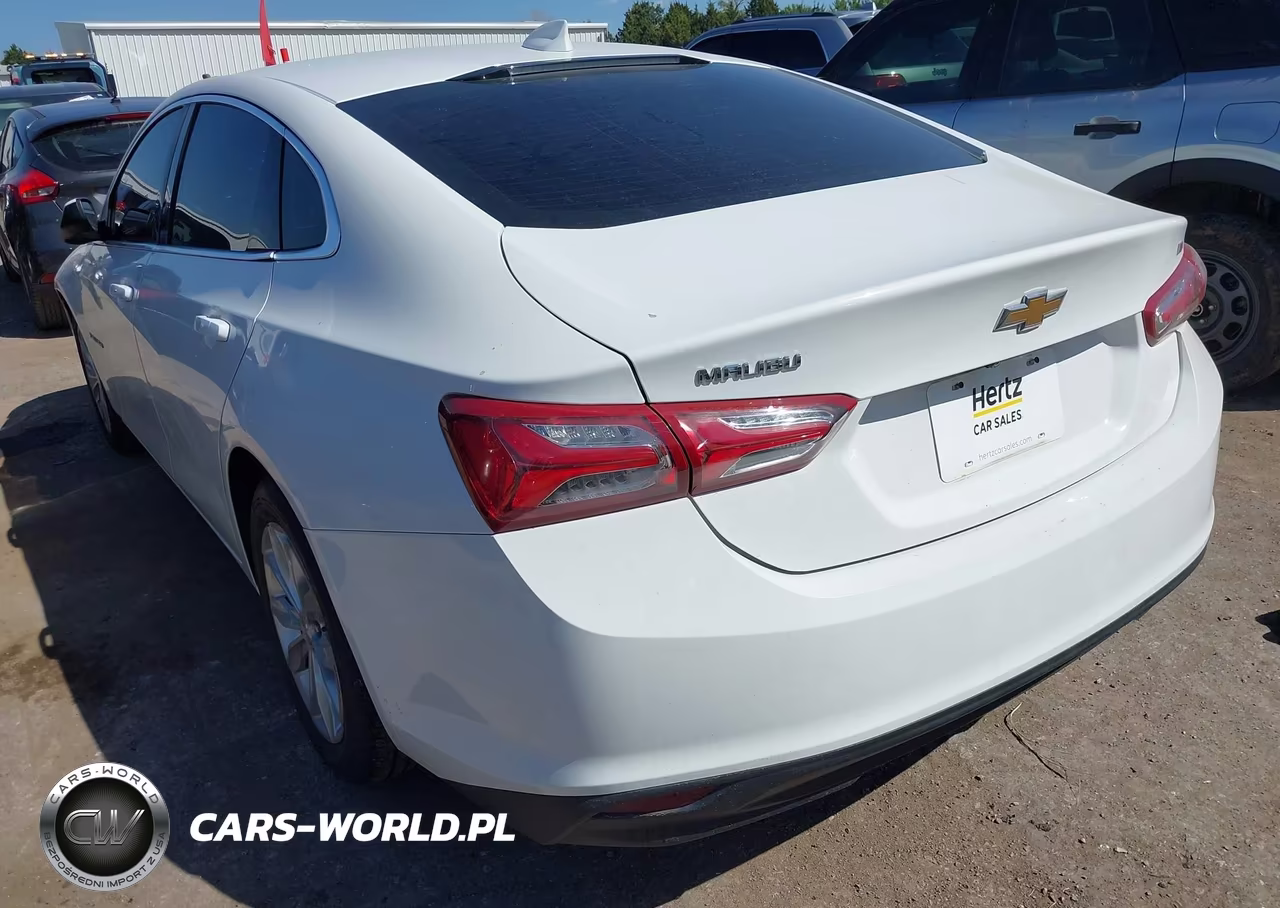 2019 Chevrolet Malibu Lt VIN:1G1ZD5ST1KF133553 - 3