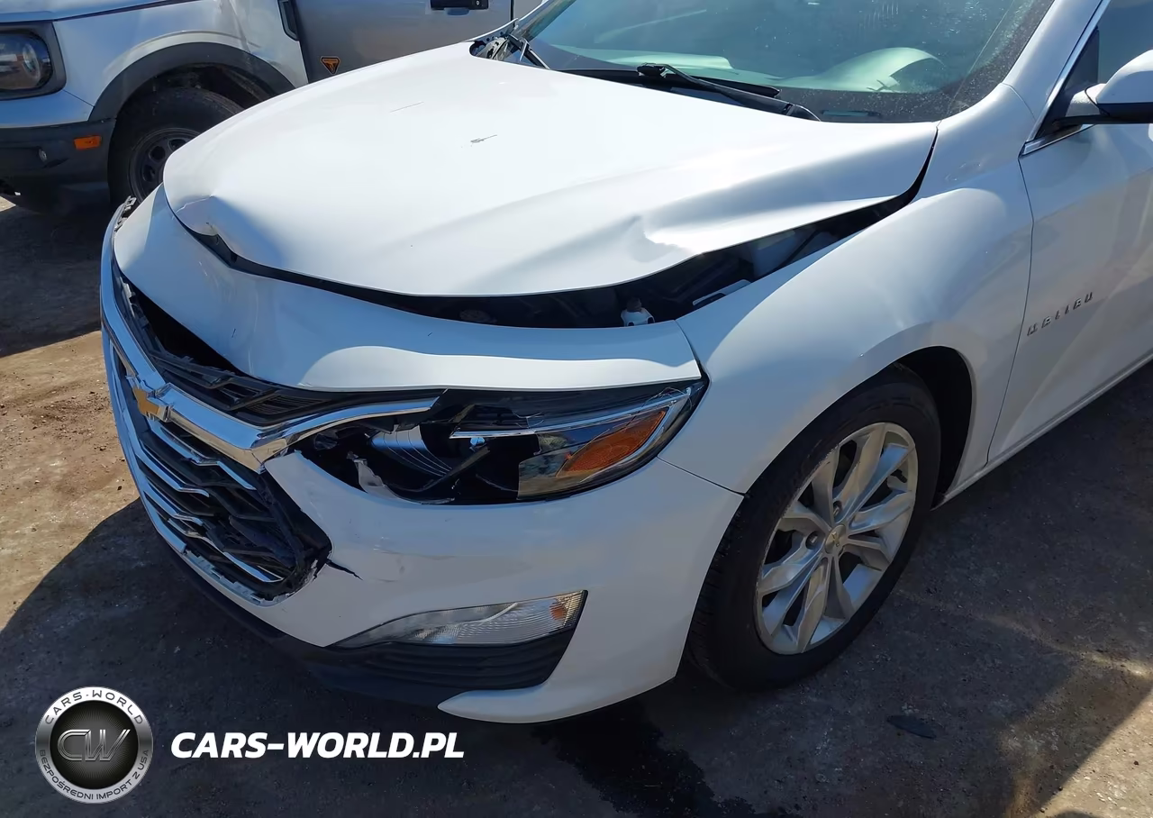 2019 Chevrolet Malibu Lt VIN:1G1ZD5ST1KF133553 - 6