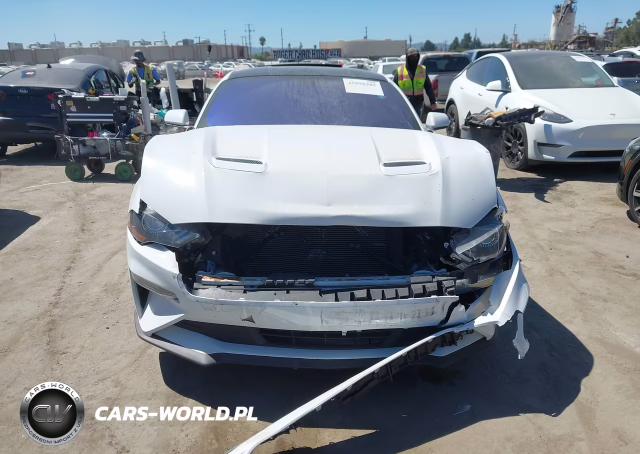 2018 Ford Mustang Ecoboost VIN:1FA6P8TH4J5173875 - 12