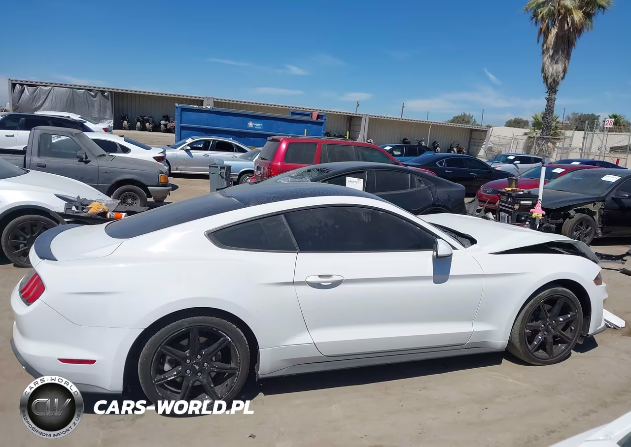 2018 Ford Mustang Ecoboost VIN:1FA6P8TH4J5173875 - 13