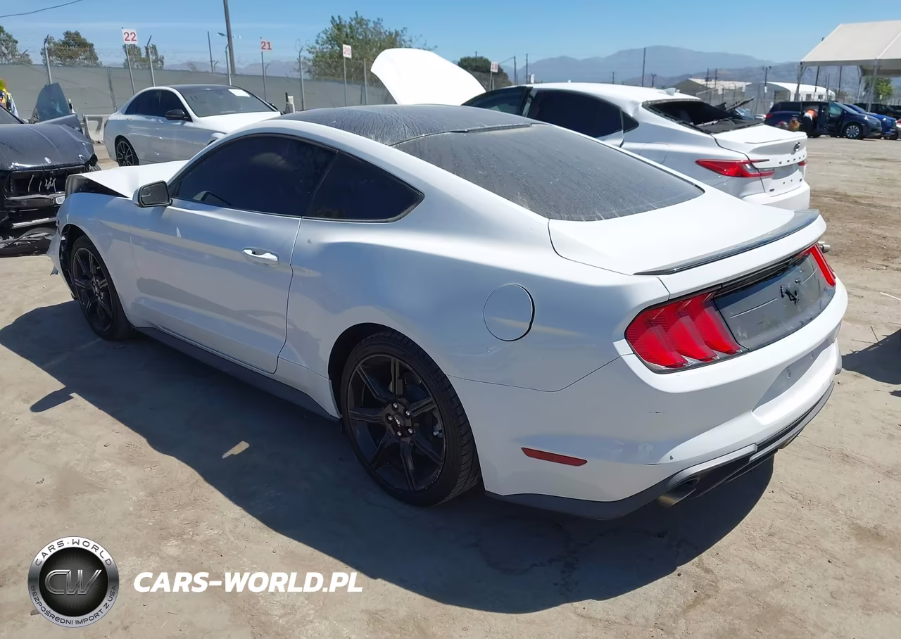 2018 Ford Mustang Ecoboost VIN:1FA6P8TH4J5173875 - 3