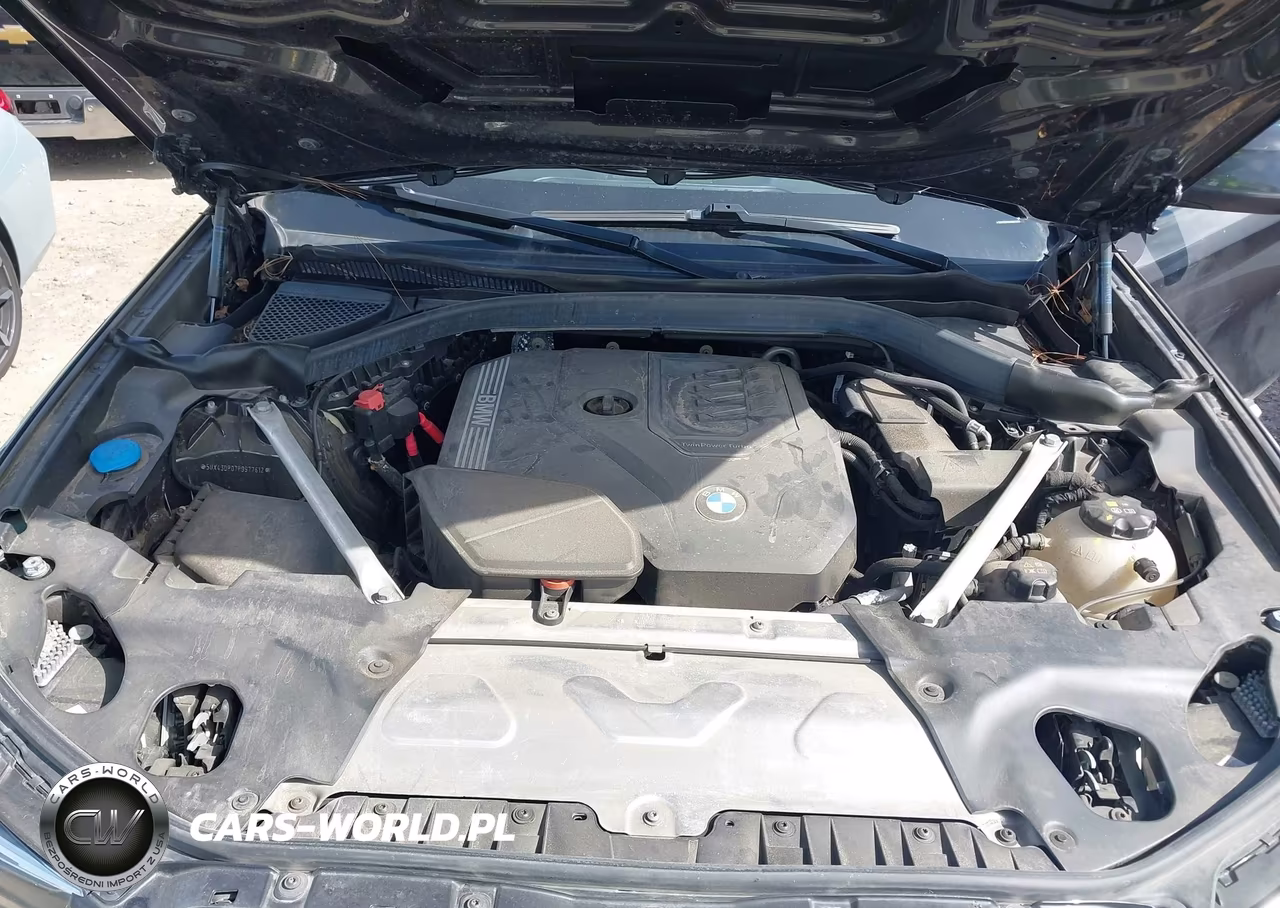 2023 BMW X3 Sdrive30I VIN:5UX43DP07P9S77612 - 10