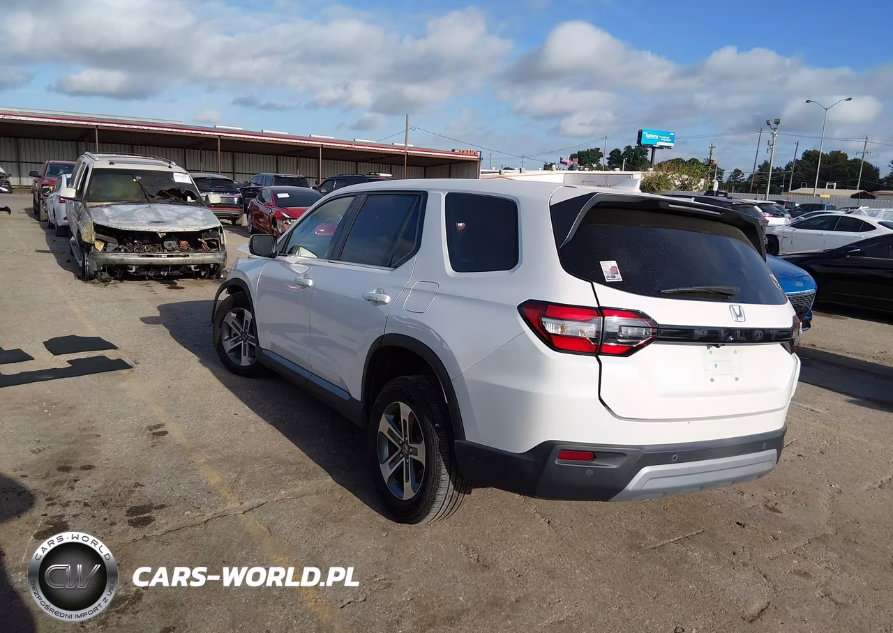 2025 Honda Pilot Ex-L VIN:5FNYG2H4XSB012291 - 3