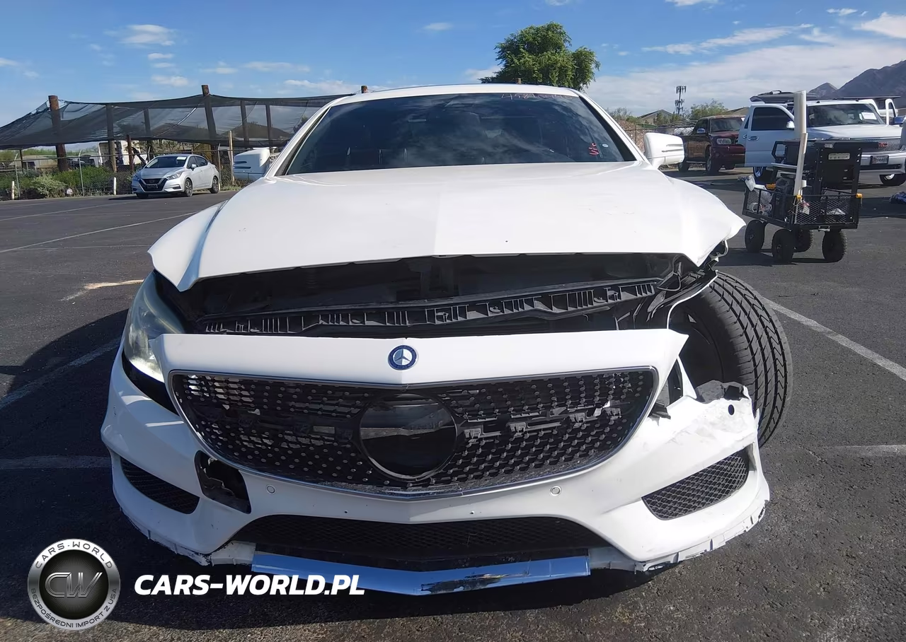 2016 Mercedes-Benz Cls 400 VIN:WDDLJ6FB0GA176529 - 13