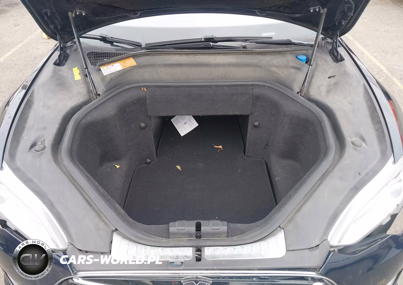 2012 Tesla Model S Signature VIN:5YJSA1CNXCFP02691 - 10