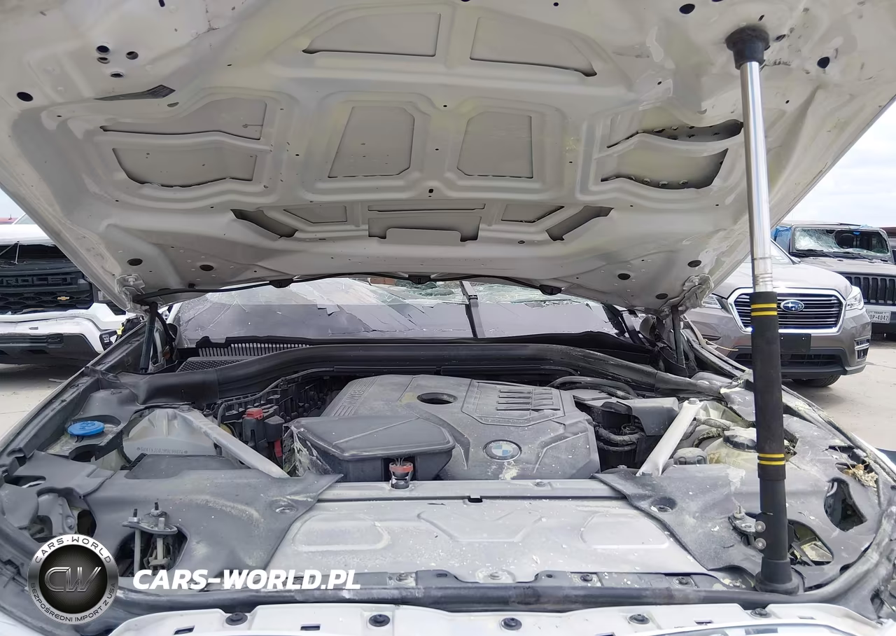 2021 BMW X3 Sdrive30I VIN:5UXTY3C02M9E99874 - 10