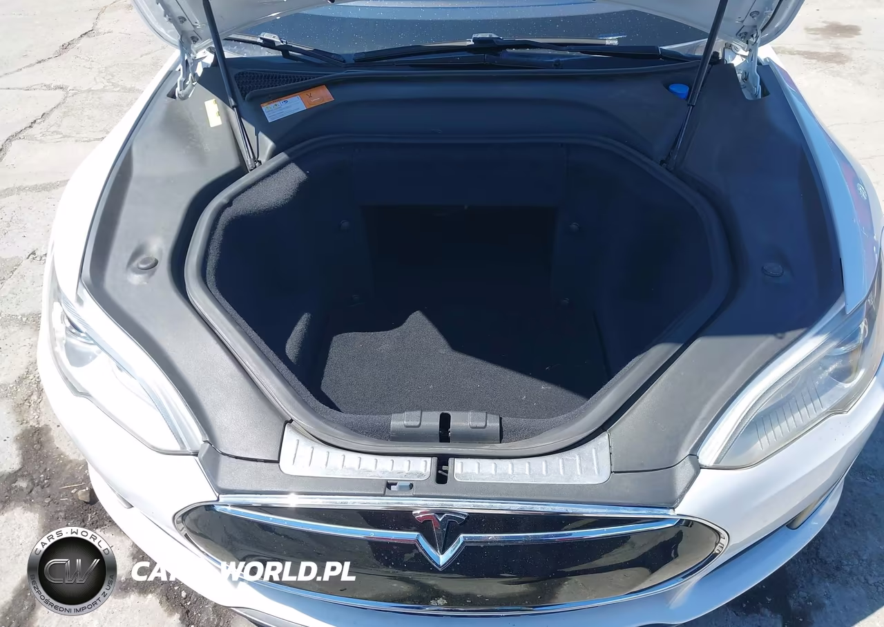 2012 Tesla Model S Performance-Signature Performance VIN:5YJSA1DP2CFP02751 - 10