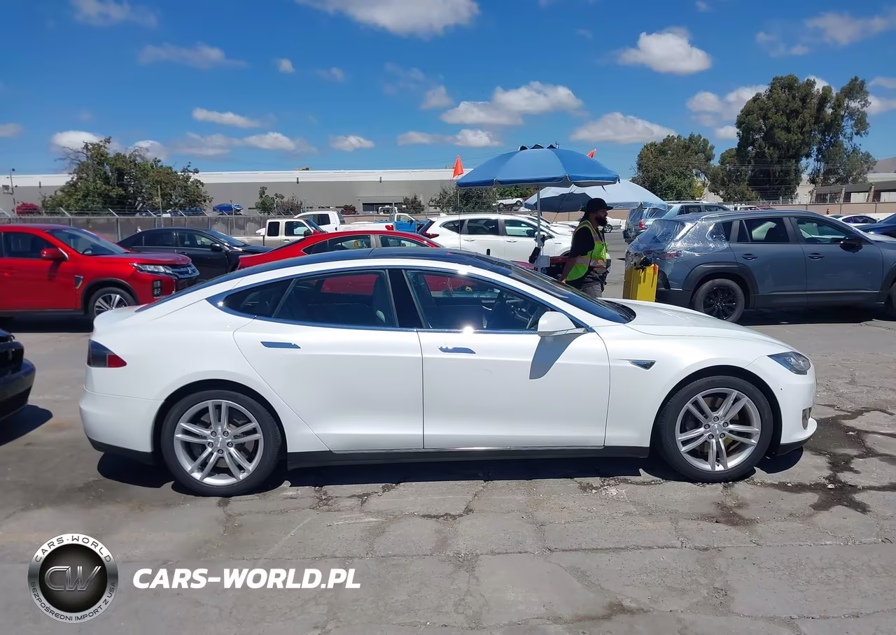 2012 Tesla Model S Performance-Signature Performance VIN:5YJSA1DP2CFP02751 - 13