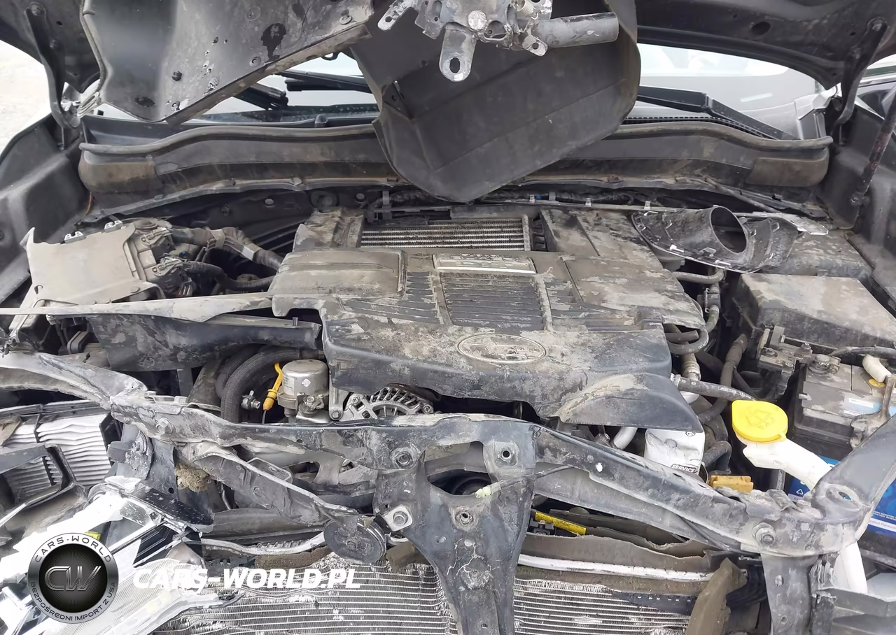 2018 Subaru Forester 2.0Xt Touring VIN:JF2SJGWCXJH406503 - 10