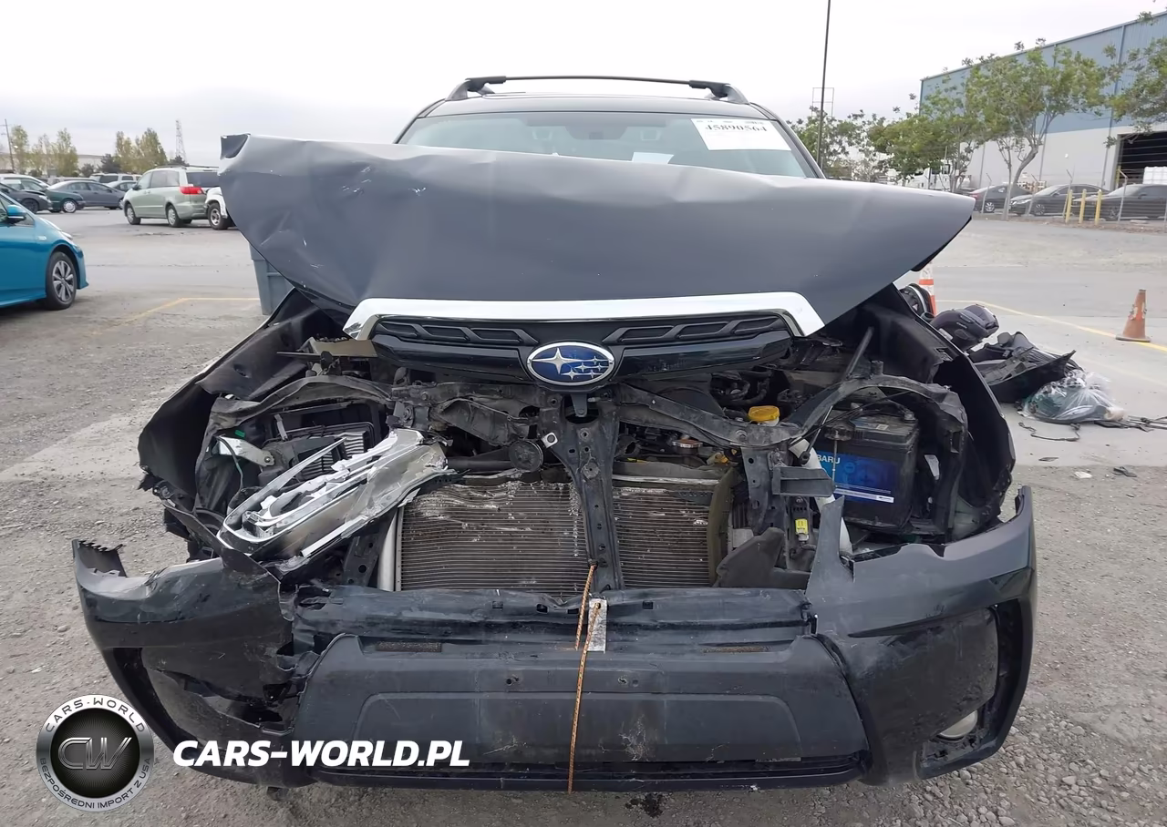 2018 Subaru Forester 2.0Xt Touring VIN:JF2SJGWCXJH406503 - 6