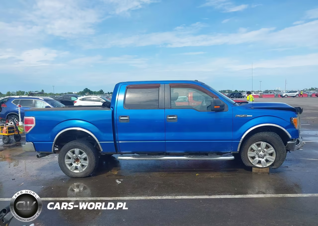 2011 Ford F-150 Xlt VIN:1FTFW1EF7BFC61427 - 13