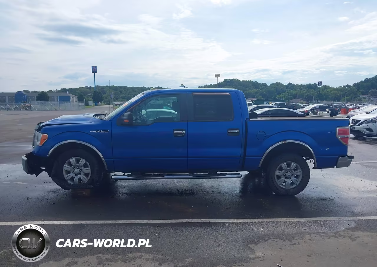 2011 Ford F-150 Xlt VIN:1FTFW1EF7BFC61427 - 14