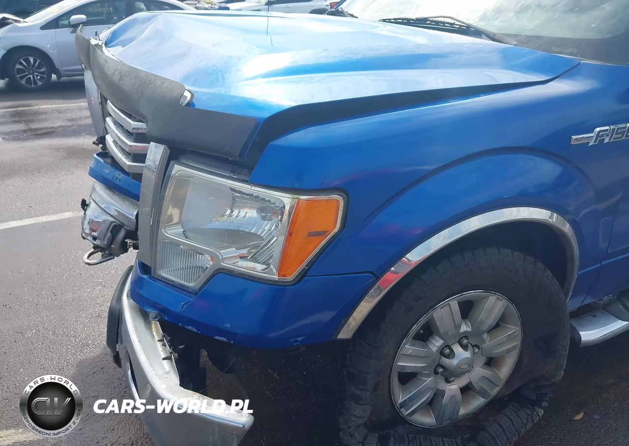 2011 Ford F-150 Xlt VIN:1FTFW1EF7BFC61427 - 19