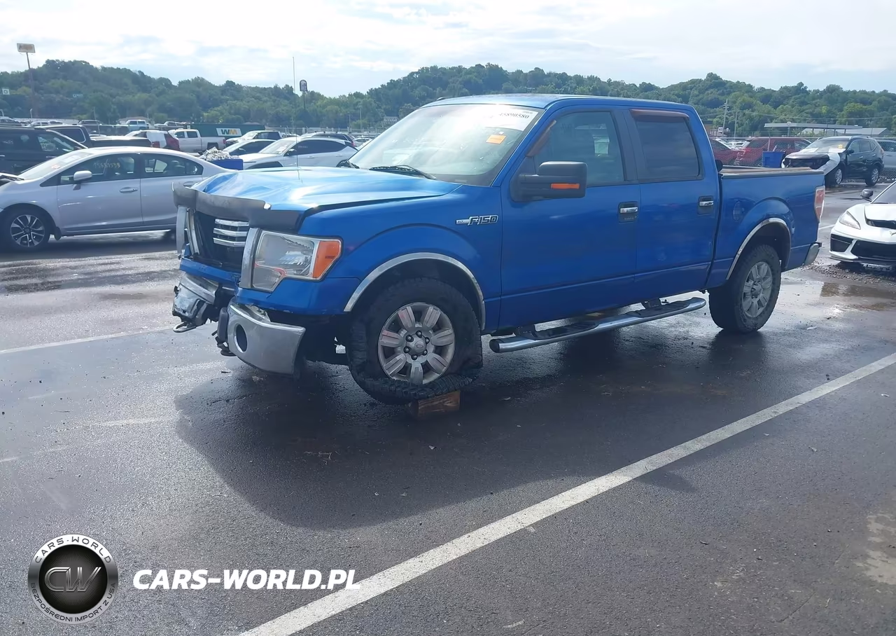 2011 Ford F-150 Xlt VIN:1FTFW1EF7BFC61427 - 2