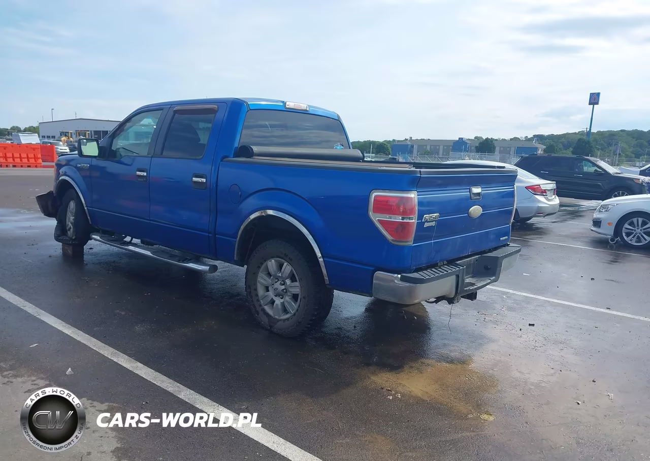 2011 Ford F-150 Xlt VIN:1FTFW1EF7BFC61427 - 3