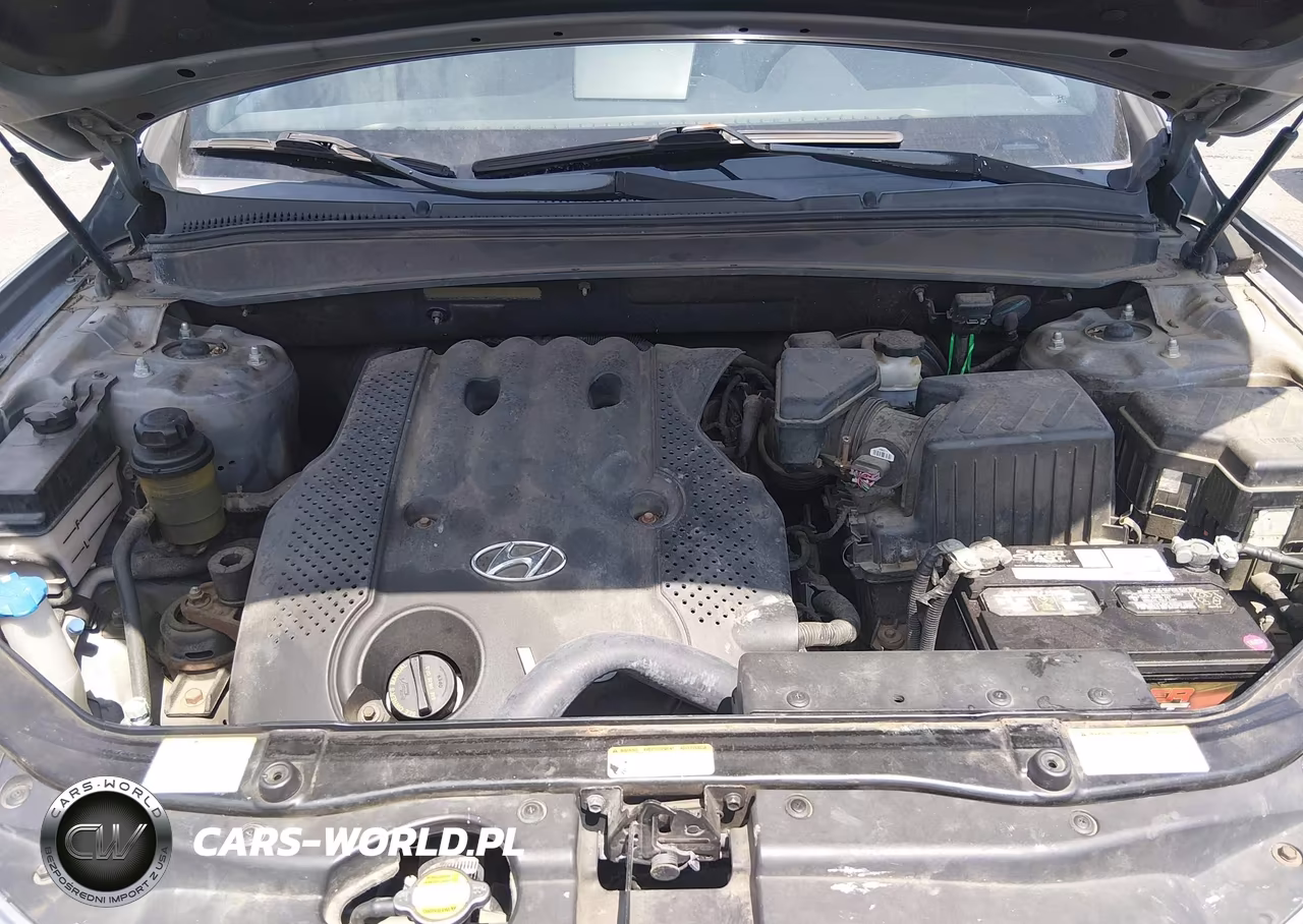 2007 Hyundai Santa Fe Gls VIN:5NMSG73D97H123706 - 10