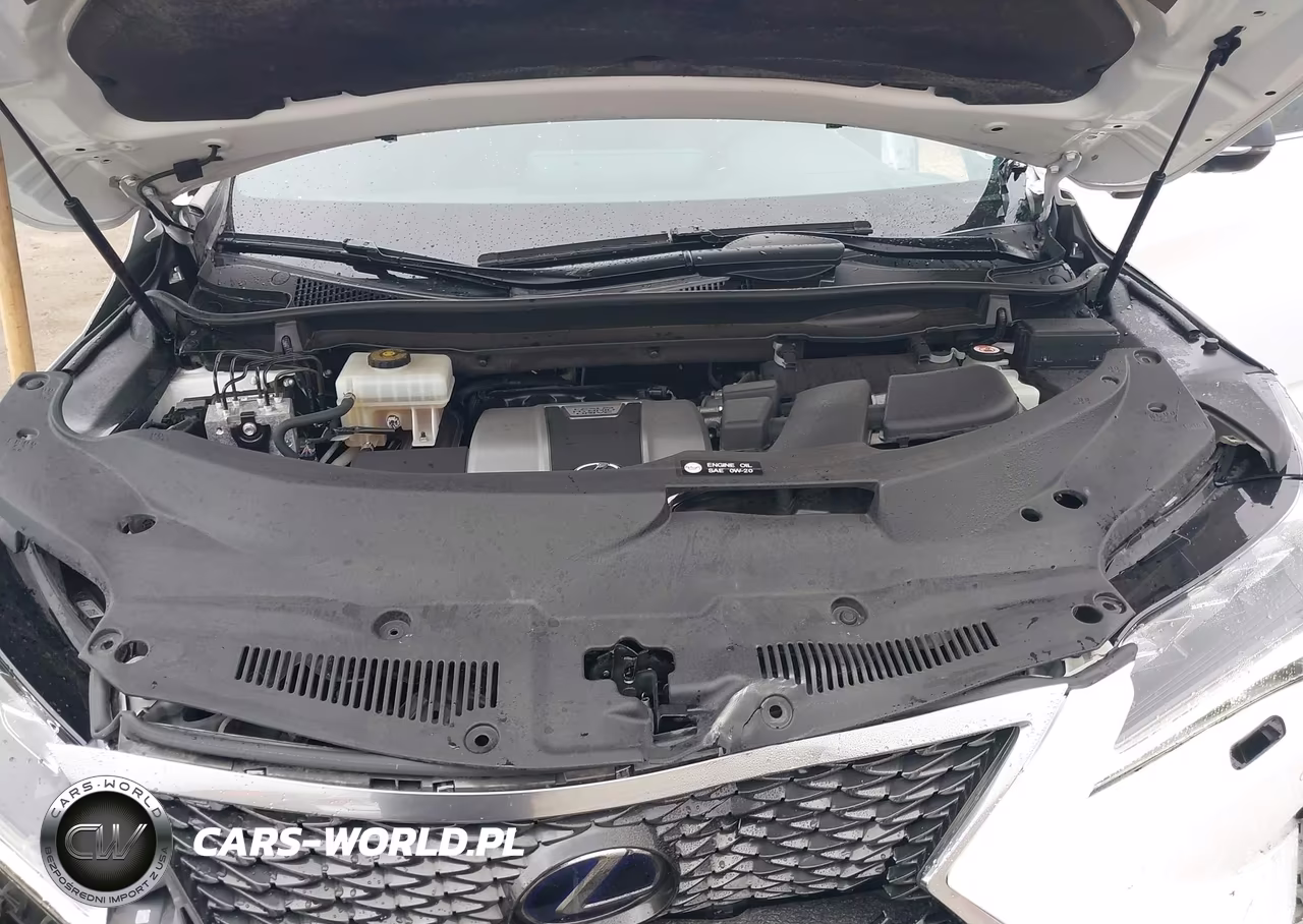 2019 Lexus Rx 450H F Sport VIN:2T2BGMCA3KC030906 - 10