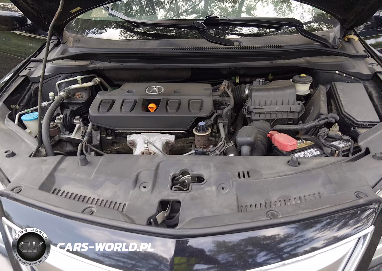 2013 Acura Ilx 2.0L VIN:19VDE1F31DE009080 - 10