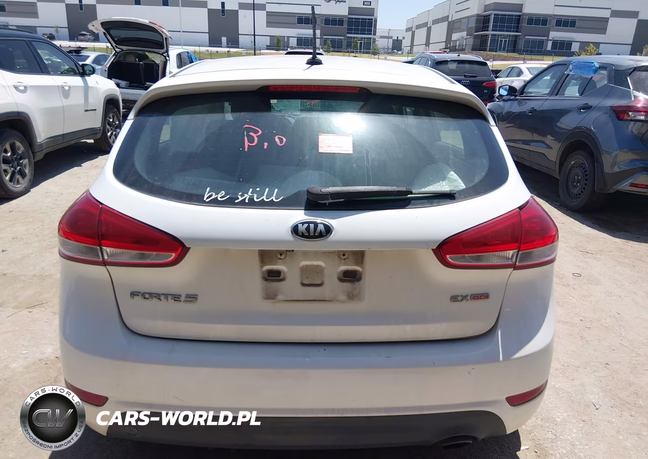 2016 Kia Forte Ex VIN:KNAFX5A84G5627821 - 16