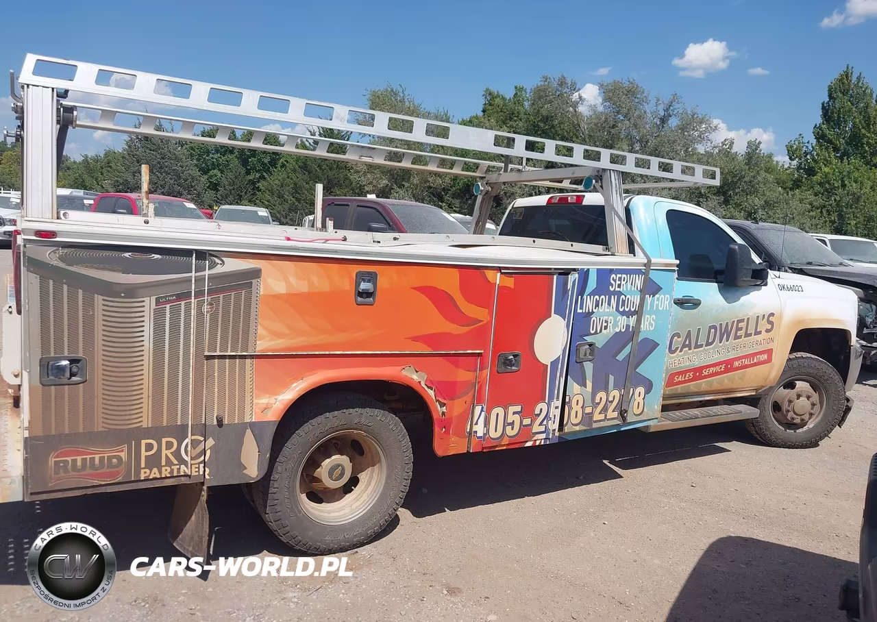 2019 Chevrolet Silverado 3500Hd Chassis Wt VIN:1GB3KVCG6KF156240 - 13