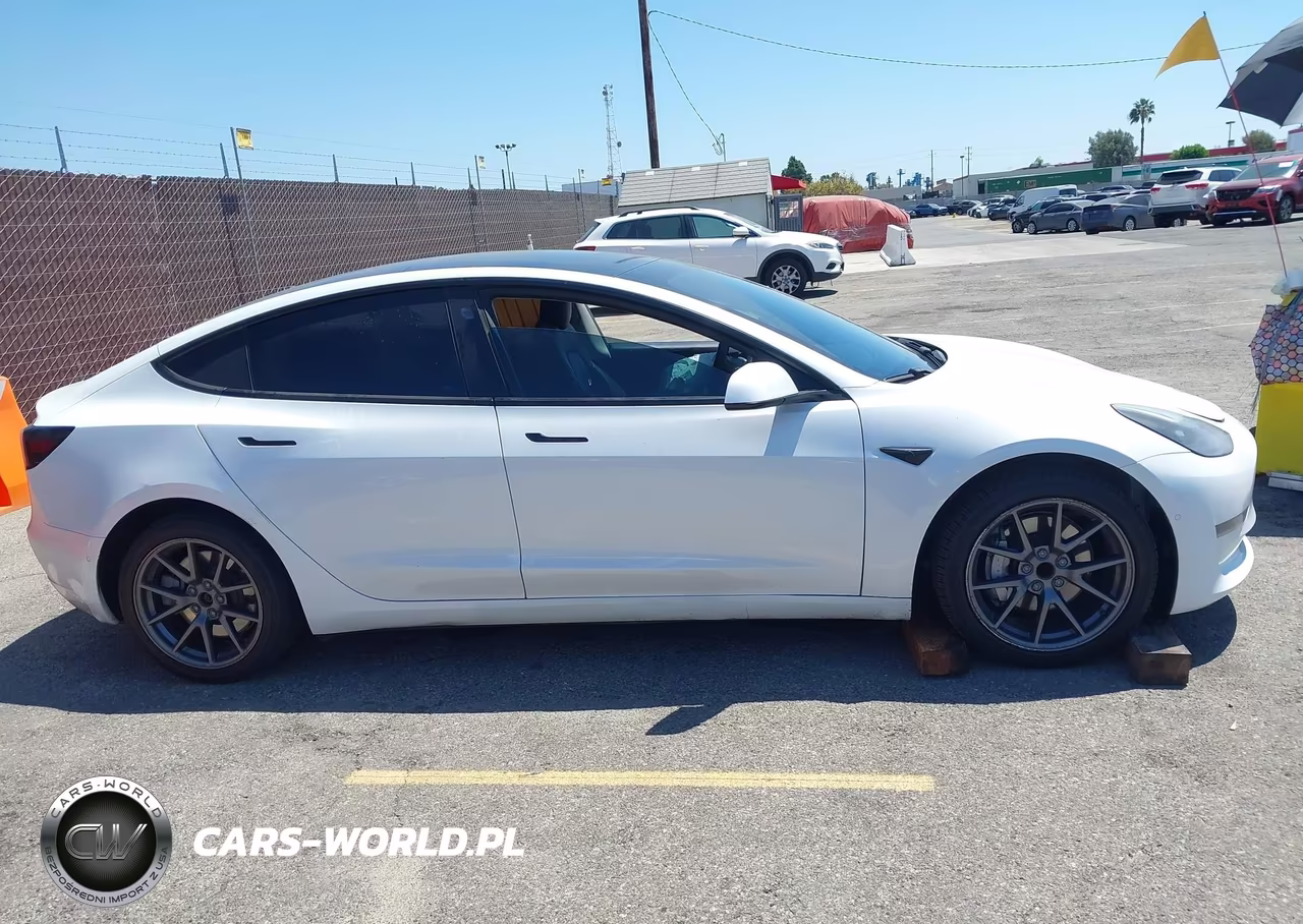 2021 Tesla Model 3 Standard Range Plus Rear-Wheel Drive VIN:5YJ3E1EA0MF870991 - 12