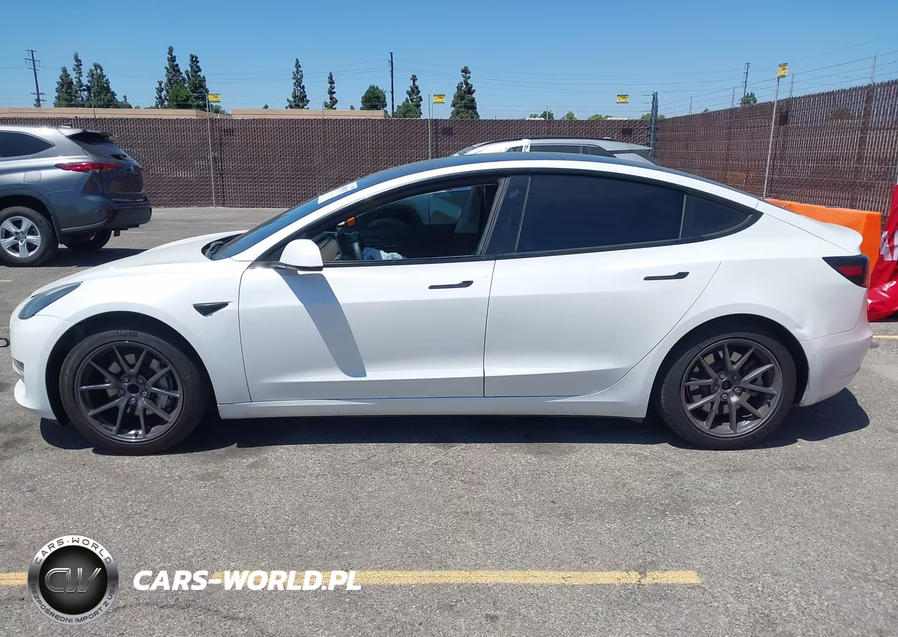 2021 Tesla Model 3 Standard Range Plus Rear-Wheel Drive VIN:5YJ3E1EA0MF870991 - 13
