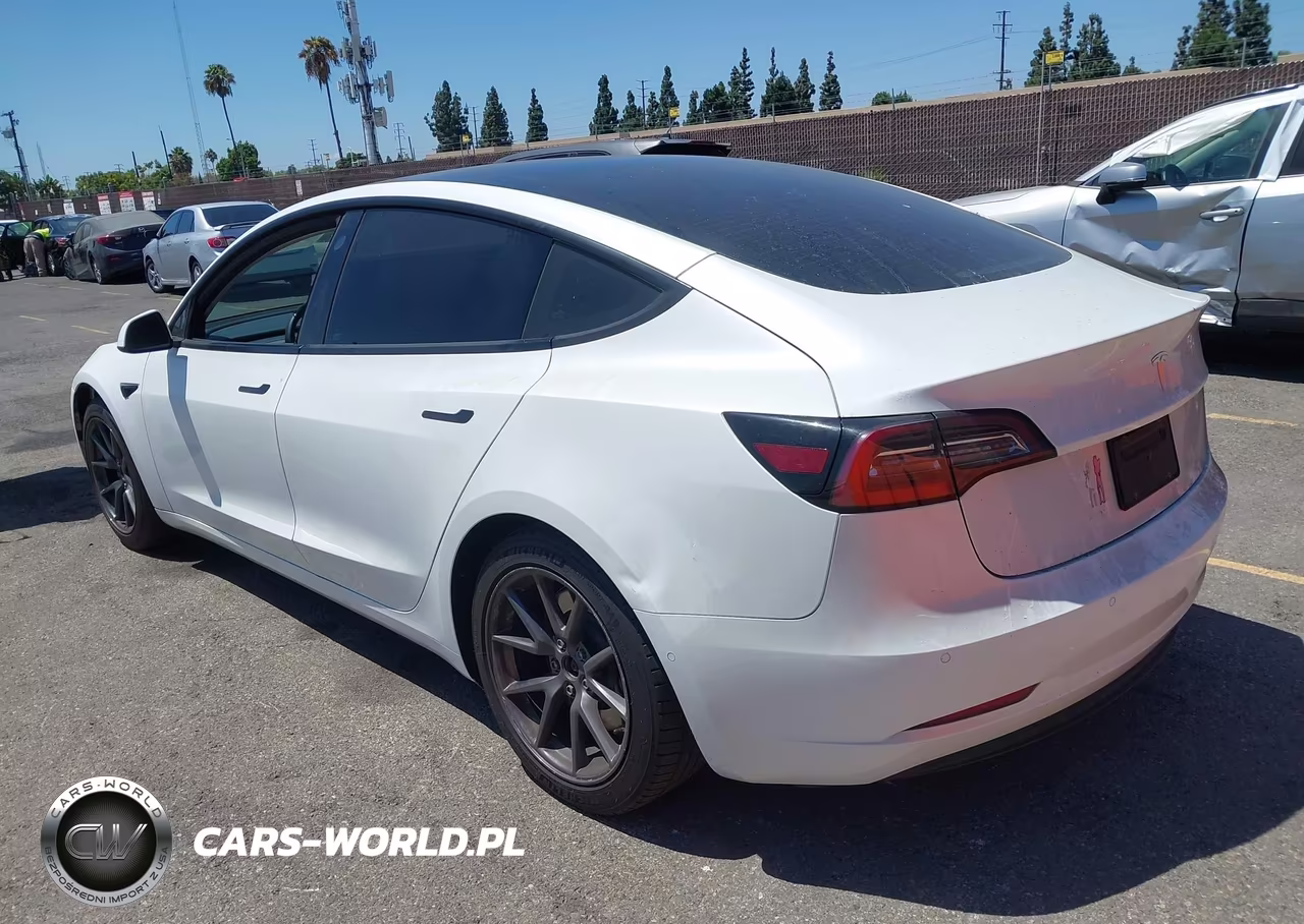 2021 Tesla Model 3 Standard Range Plus Rear-Wheel Drive VIN:5YJ3E1EA0MF870991 - 3