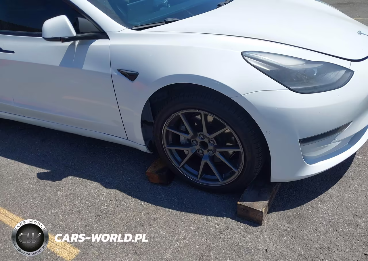 2021 Tesla Model 3 Standard Range Plus Rear-Wheel Drive VIN:5YJ3E1EA0MF870991 - 6