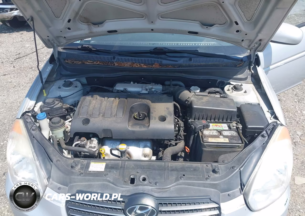 2010 Hyundai Accent Gls VIN:KMHCN4AC8AU493110 - 10