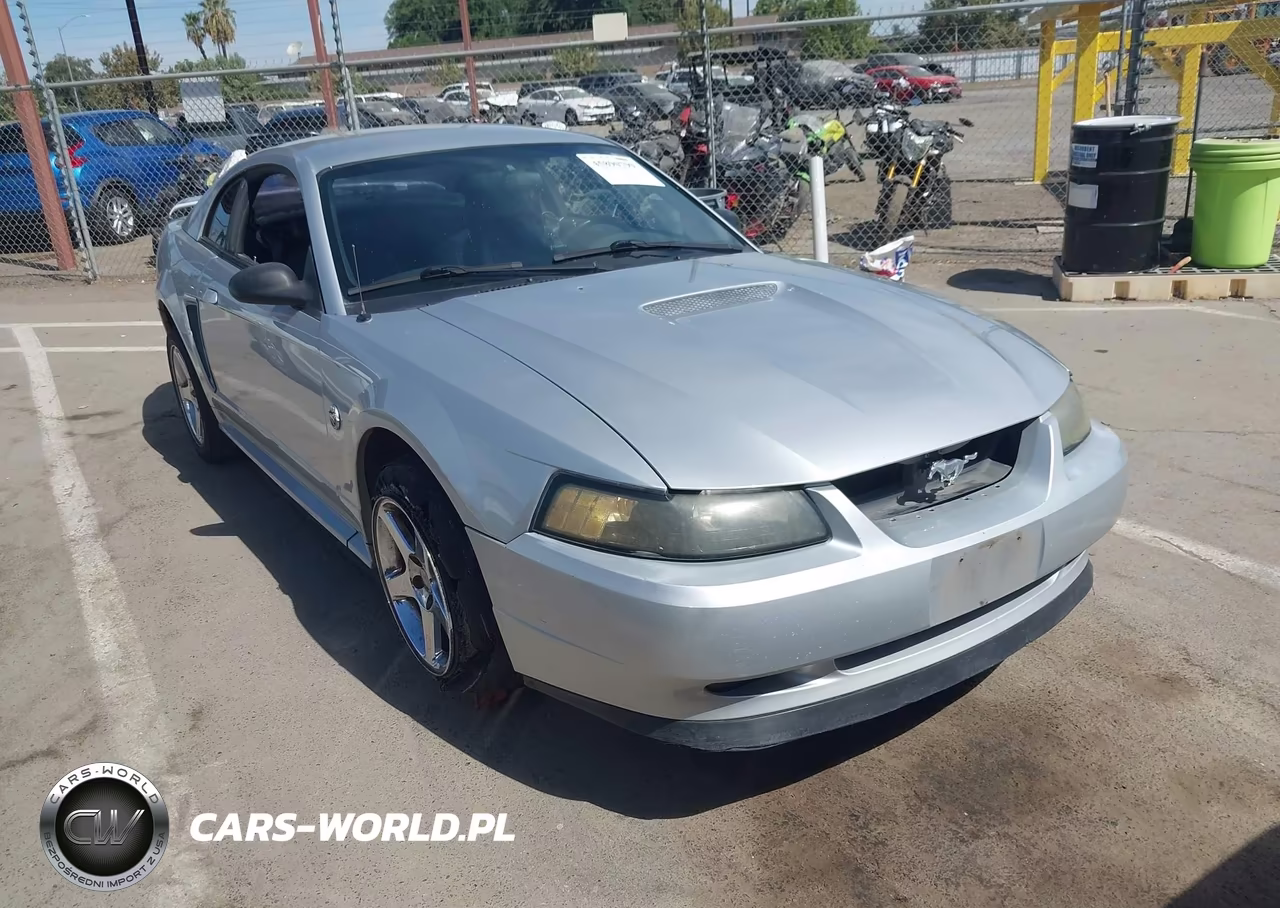 2002 Ford Mustang Deluxe-Premium-Standard