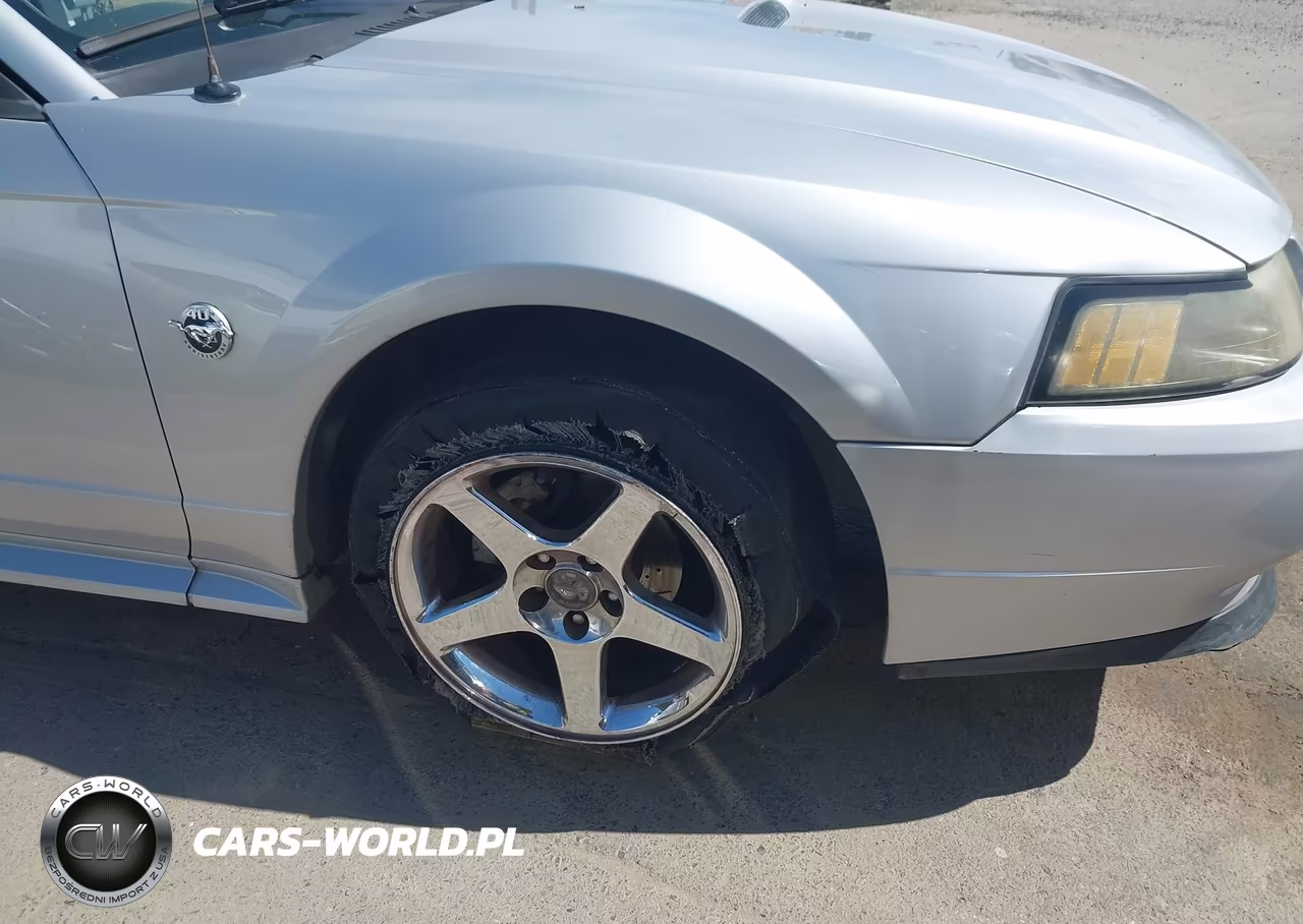 2002 Ford Mustang Deluxe-Premium-Standard VIN:1FAFP40402F241725 - 6
