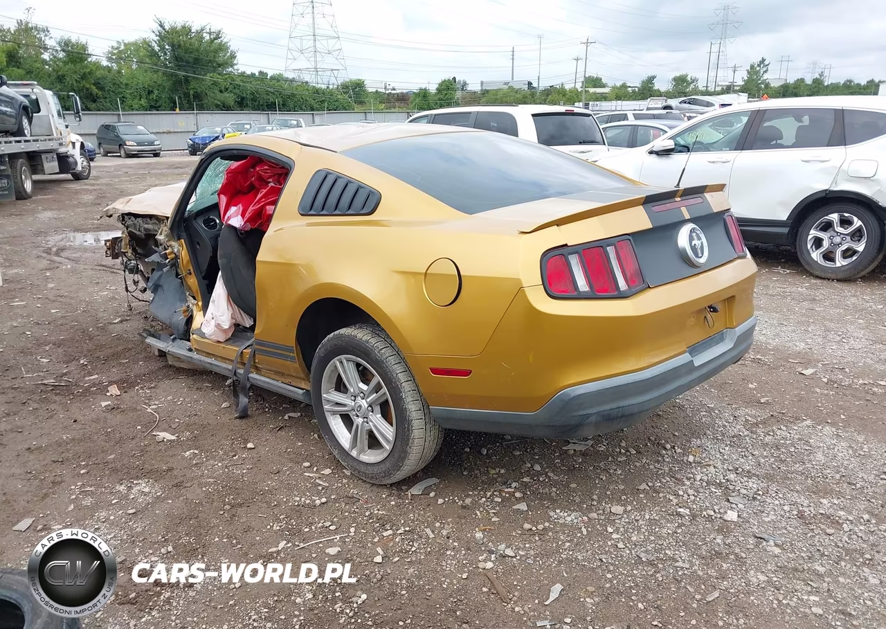 2010 Ford Mustang V6-V6 Premium VIN:1ZVBP8AN7A5137581 - 3
