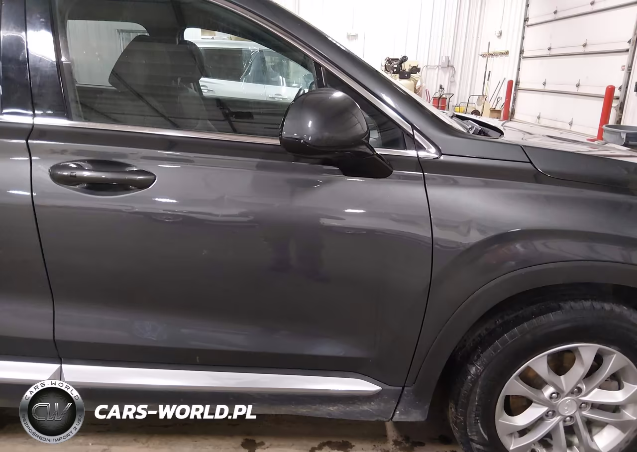 2020 Hyundai Santa Fe Sel VIN:5NMS3CAD3LH203181 - 19