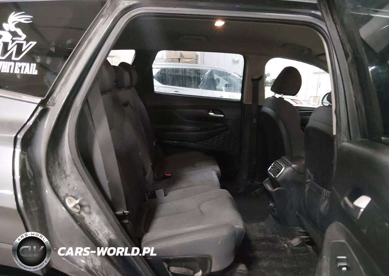 2020 Hyundai Santa Fe Sel VIN:5NMS3CAD3LH203181 - 8
