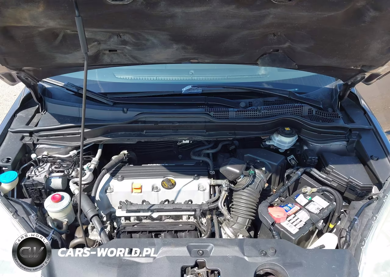 2010 Honda Cr-V Exl VIN:5J6RE4H71AL011696 - 10