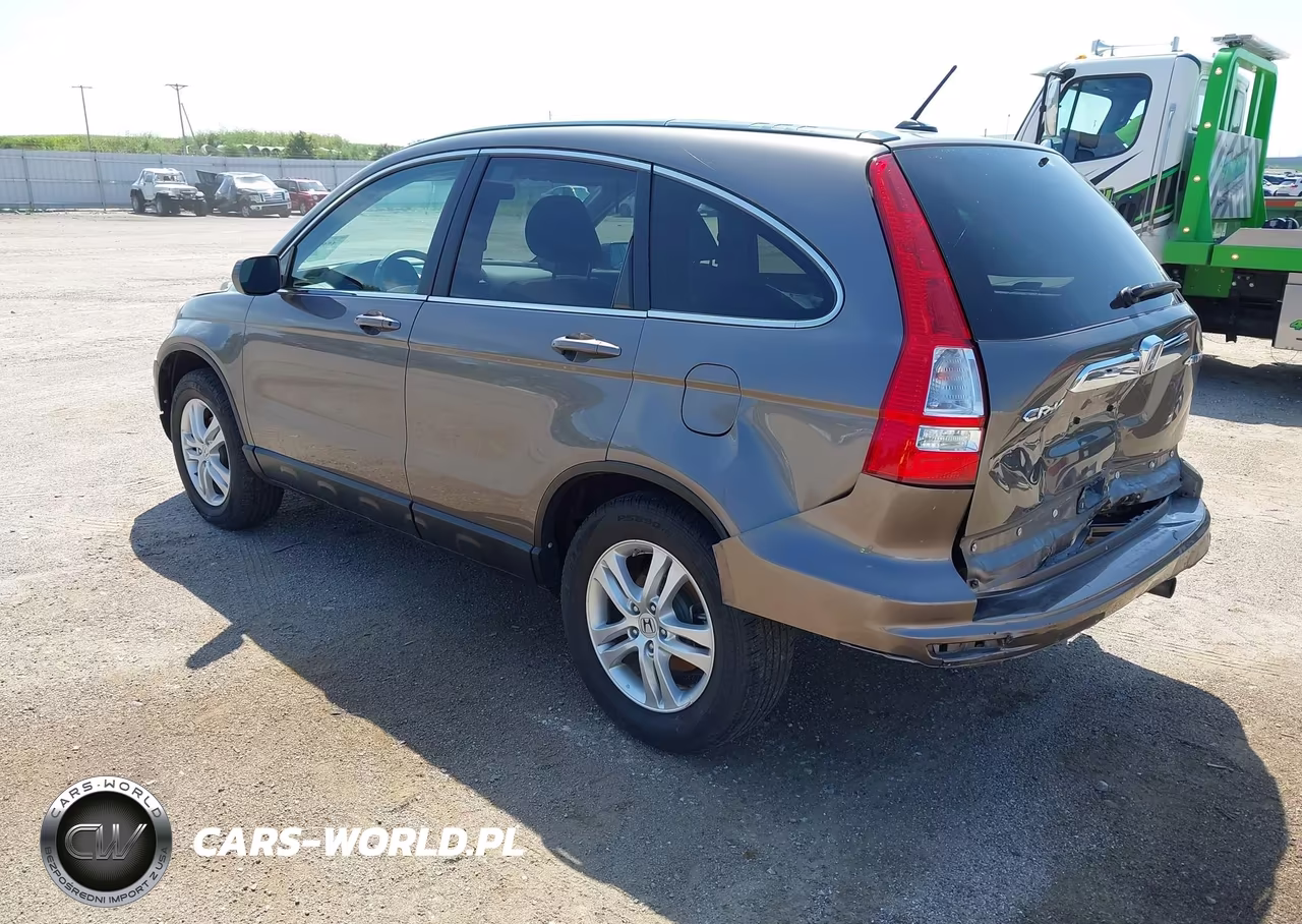 2010 Honda Cr-V Exl VIN:5J6RE4H71AL011696 - 3