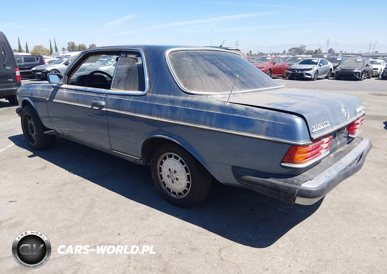 1984 Mercedes-Benz 300 Cdt VIN:WDBAB53A9EA043655 - 3