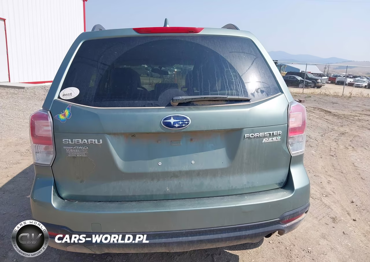 2017 Subaru Forester 2.5I VIN:JF2SJABCXHH589723 - 17