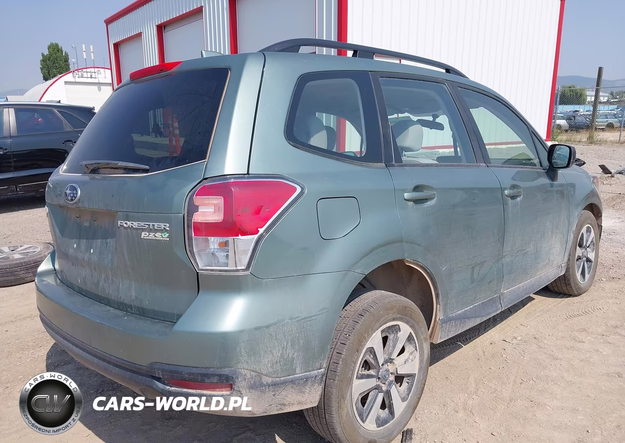 2017 Subaru Forester 2.5I VIN:JF2SJABCXHH589723 - 4
