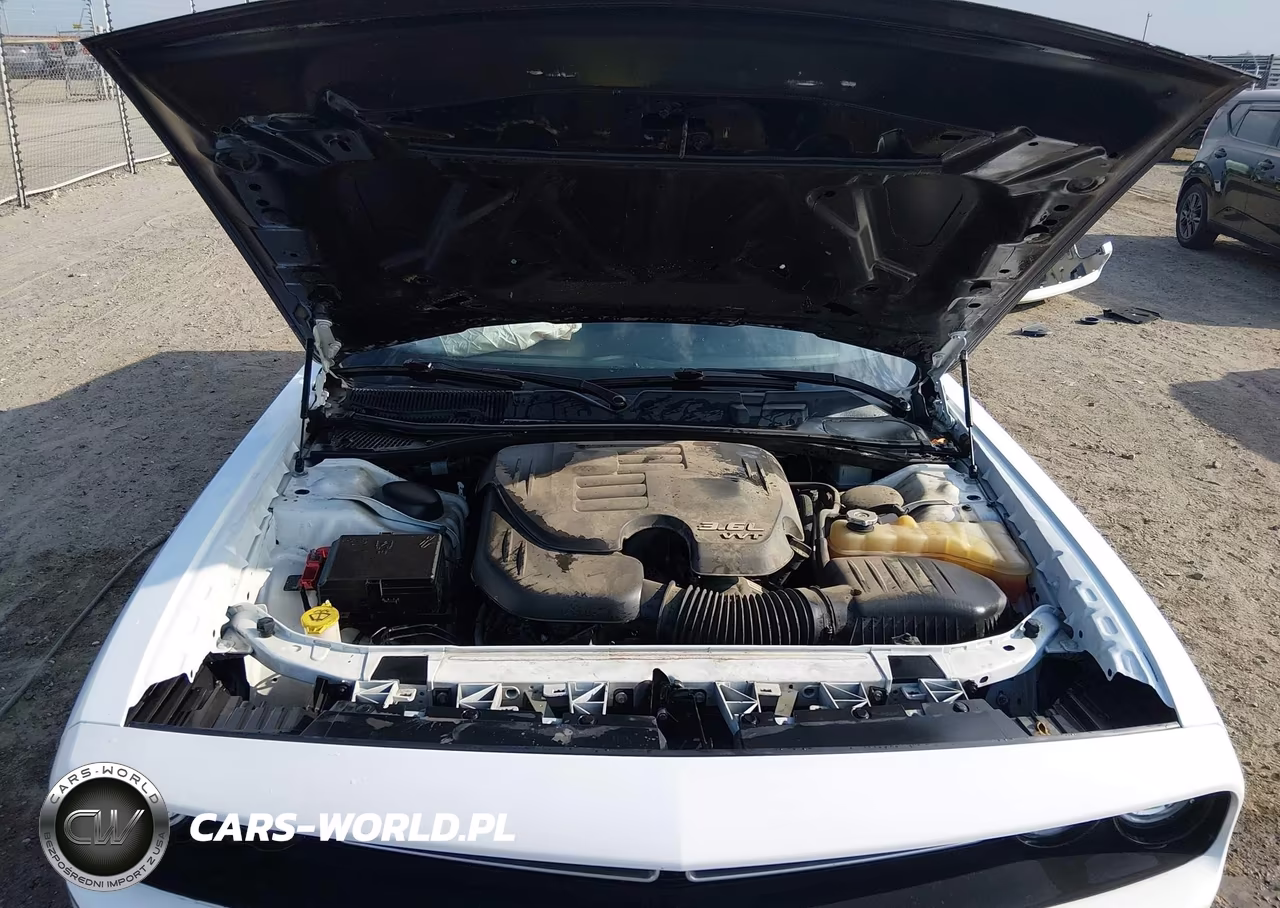 2019 Dodge Challenger Sxt VIN:2C3CDZAG7KH641974 - 10