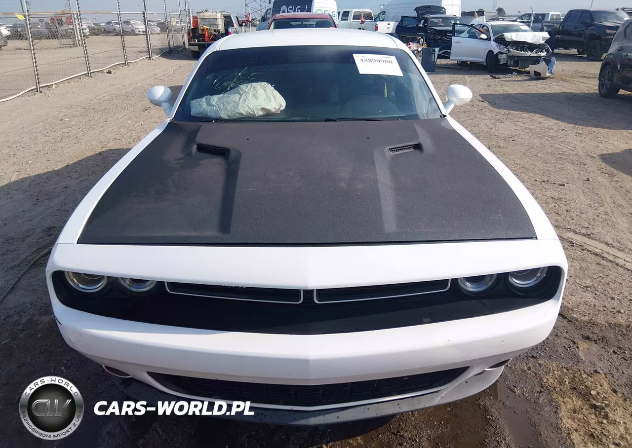 2019 Dodge Challenger Sxt VIN:2C3CDZAG7KH641974 - 13