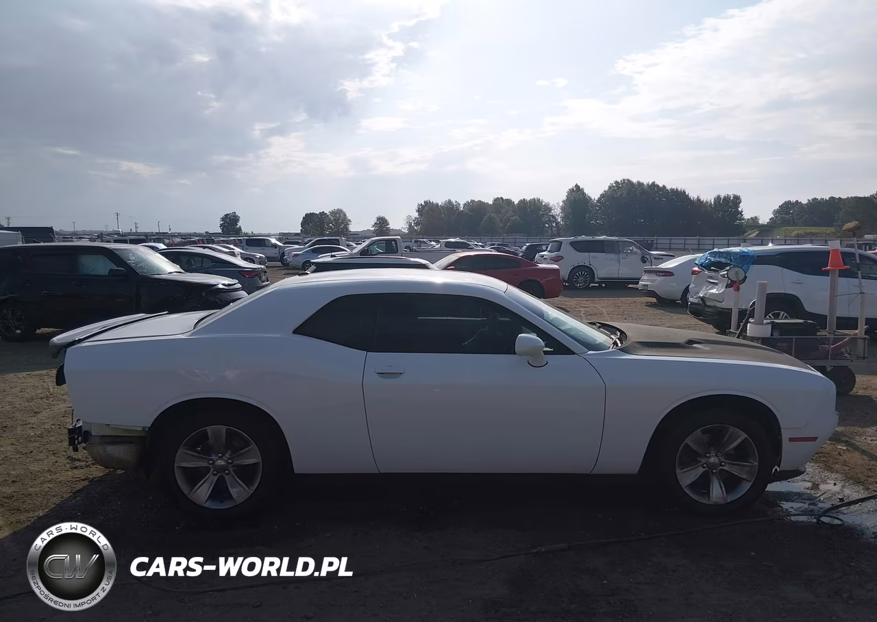 2019 Dodge Challenger Sxt VIN:2C3CDZAG7KH641974 - 14