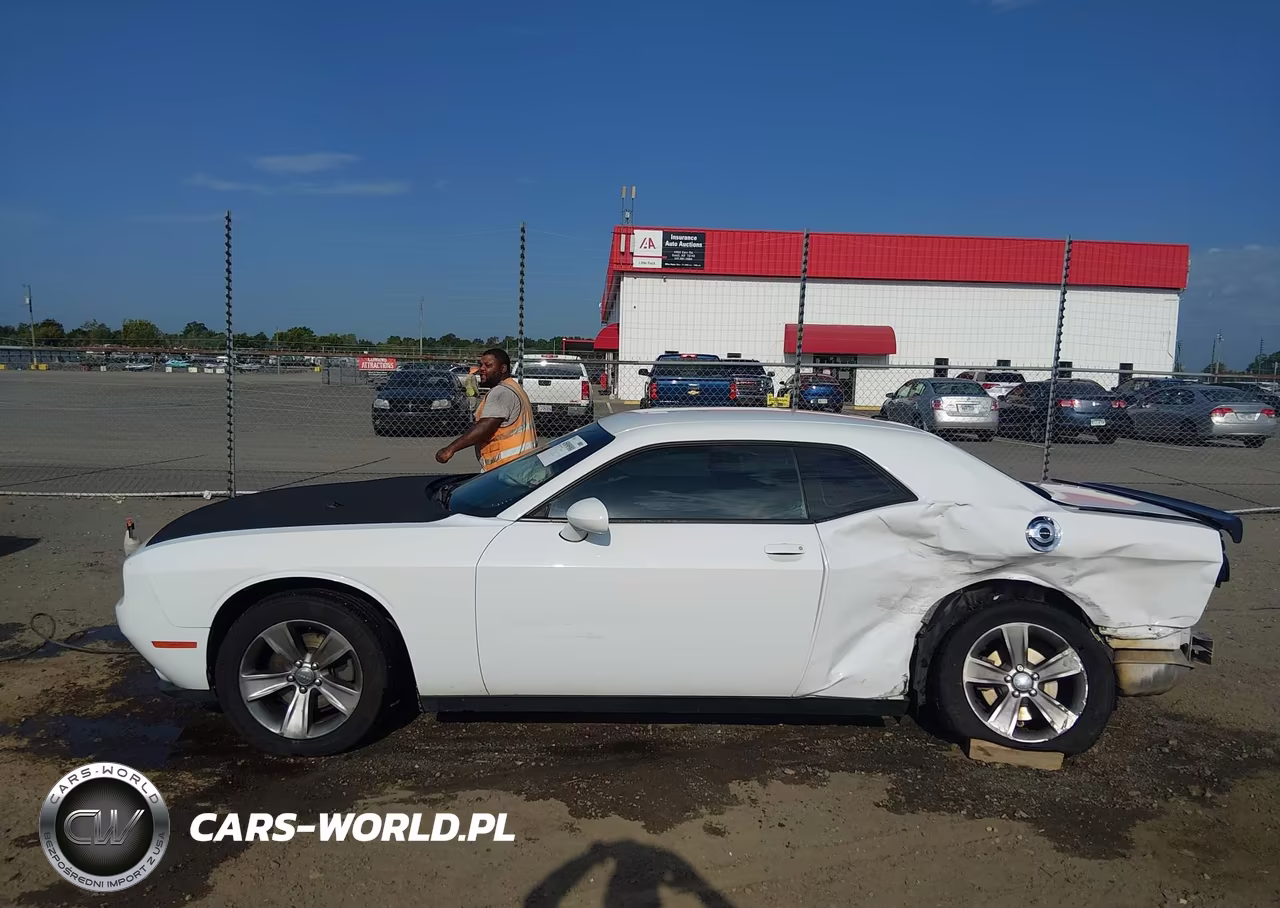 2019 Dodge Challenger Sxt VIN:2C3CDZAG7KH641974 - 15