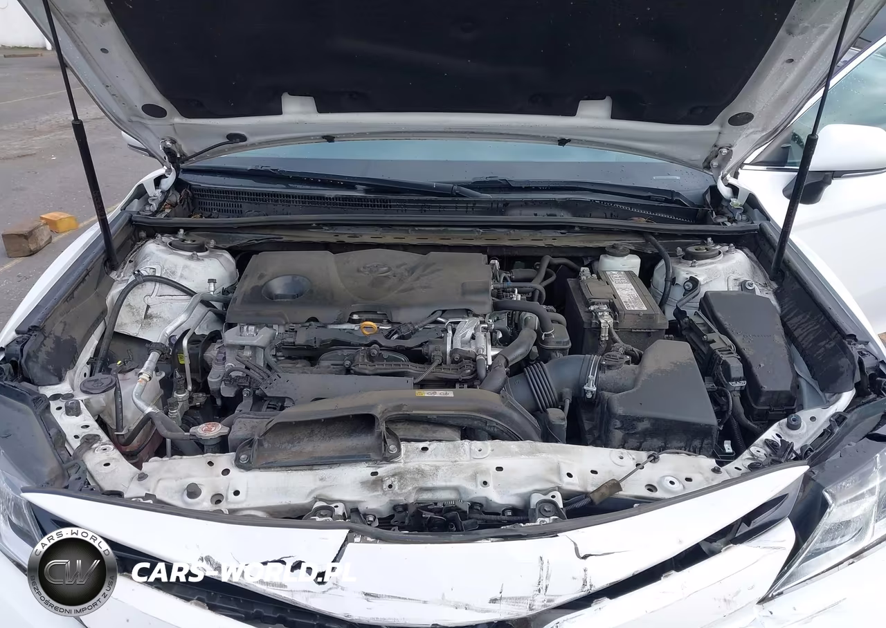 2019 Toyota Camry Le VIN:4T1B11HK9KU783120 - 10