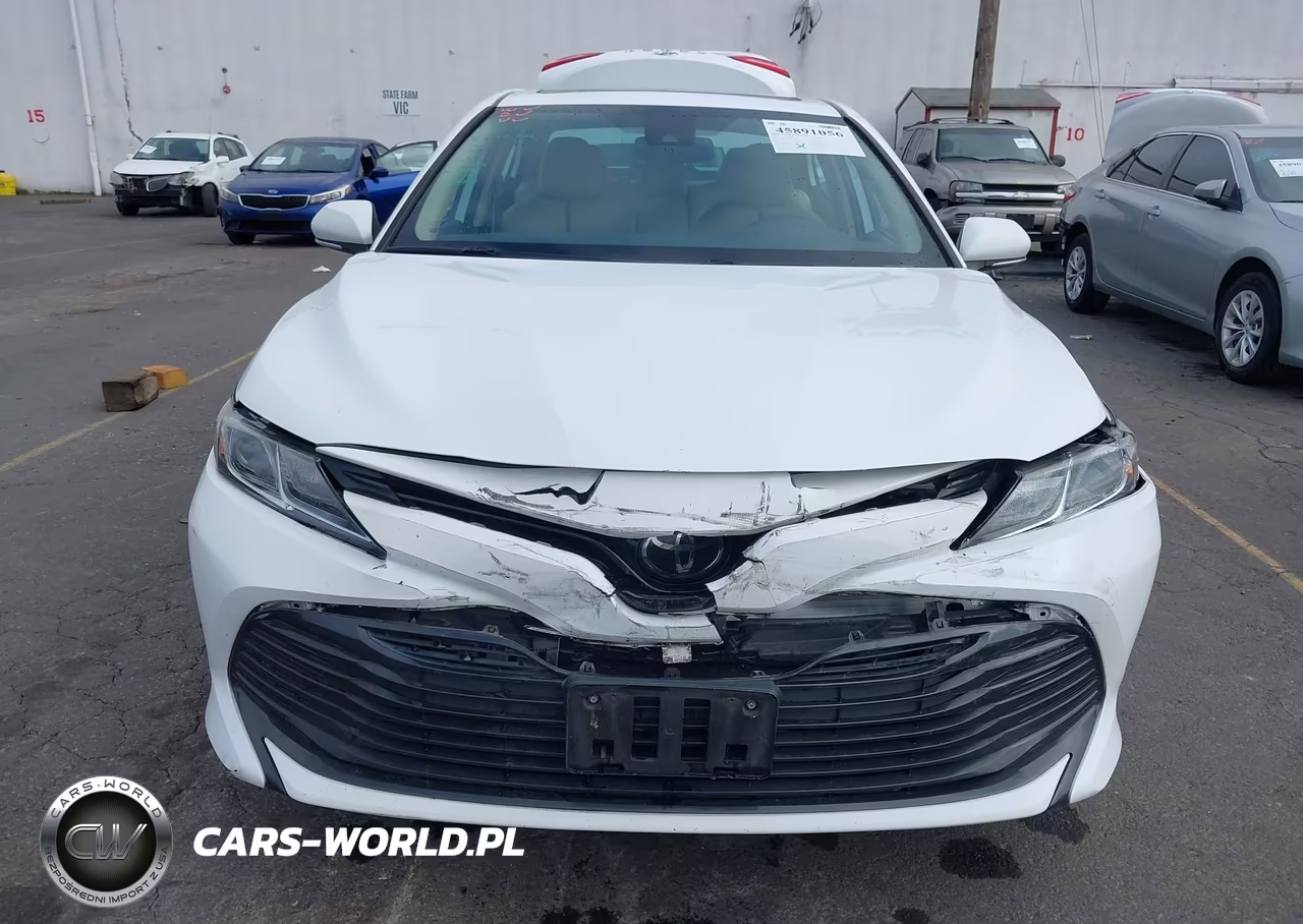 2019 Toyota Camry Le VIN:4T1B11HK9KU783120 - 12