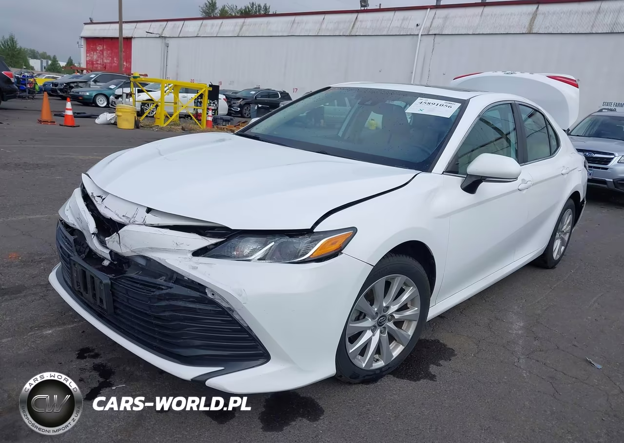 2019 Toyota Camry Le VIN:4T1B11HK9KU783120 - 2